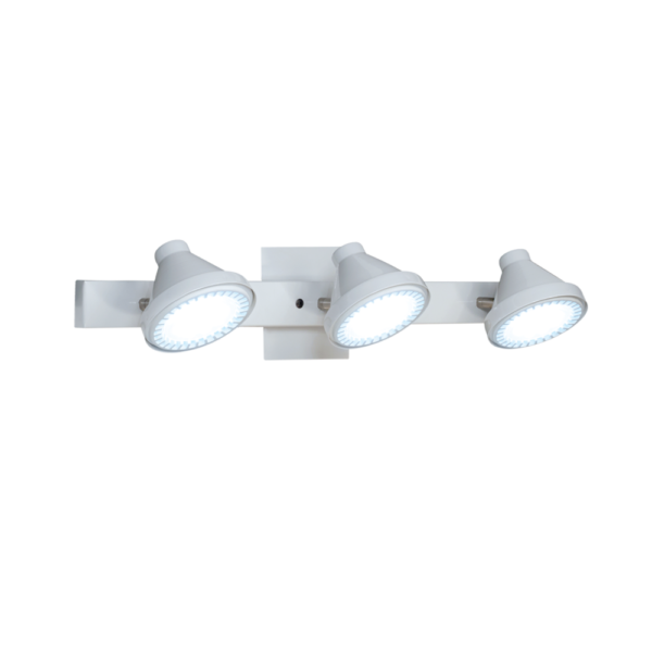 s317 - Image 2